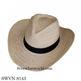 Men's Hat SWVN 8143
