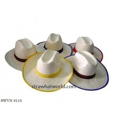 Men's Hat SWVN 8110 